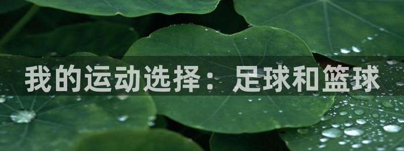 betway西汉姆