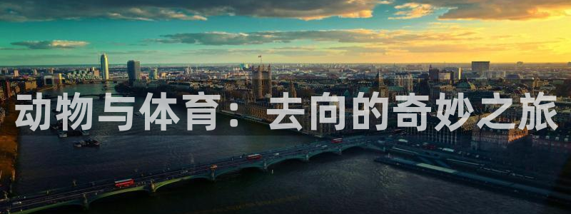 betway西汉姆
