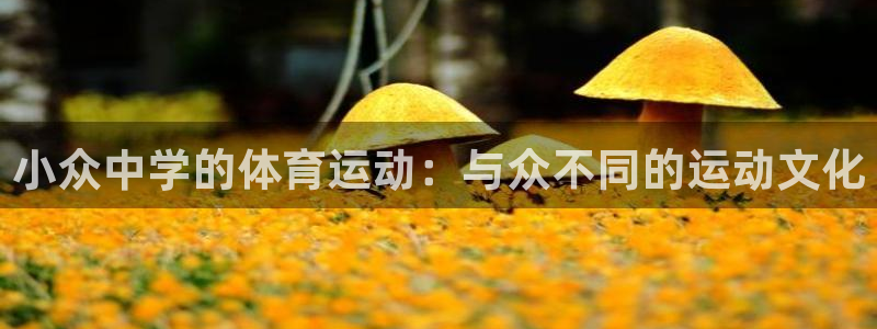 betway西汉姆官网