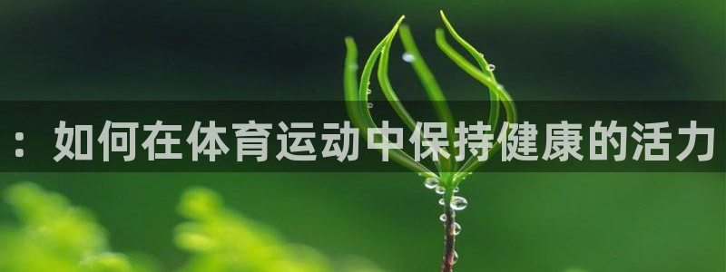betway西汉姆：：如何在体育运动中保持健康的活力
