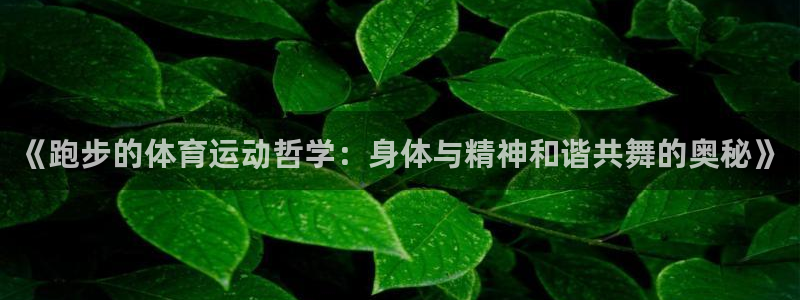 betway西汉姆官网：《跑步的体育运动哲学：身体与精神和谐共舞的奥秘》