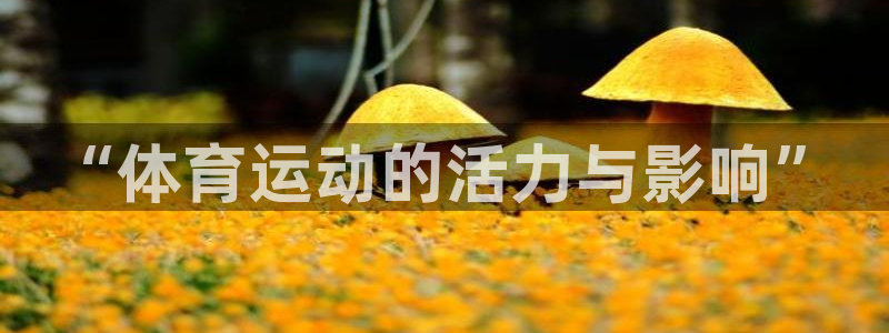 betway西汉姆联官网