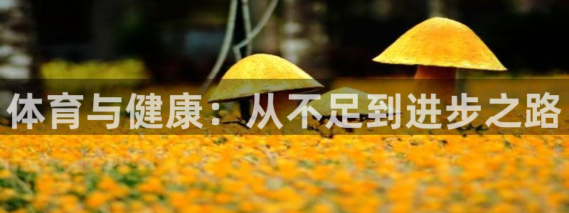 betway西汉姆