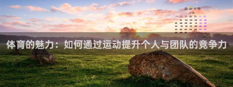 betway西汉姆官网：体育的魅力：如何通过运动提升个人与团队的竞争力